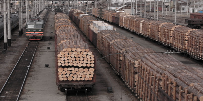 Особенности НДС при вывозе леса на экспорт