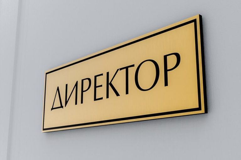 При каких условиях иностранец может быть директором российской компании